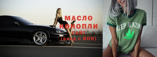 гидра Новозыбков