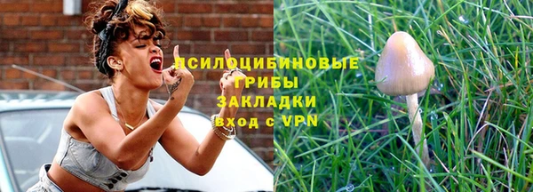 ПСИЛОЦИБИНОВЫЕ ГРИБЫ Аркадак